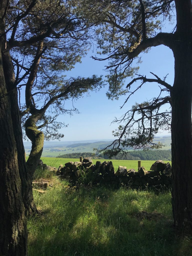 View from Norman's Law, Fife, Scotland