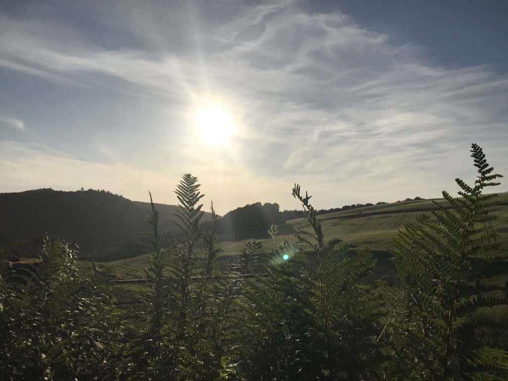 Near Norman's Law, Fife Scotland