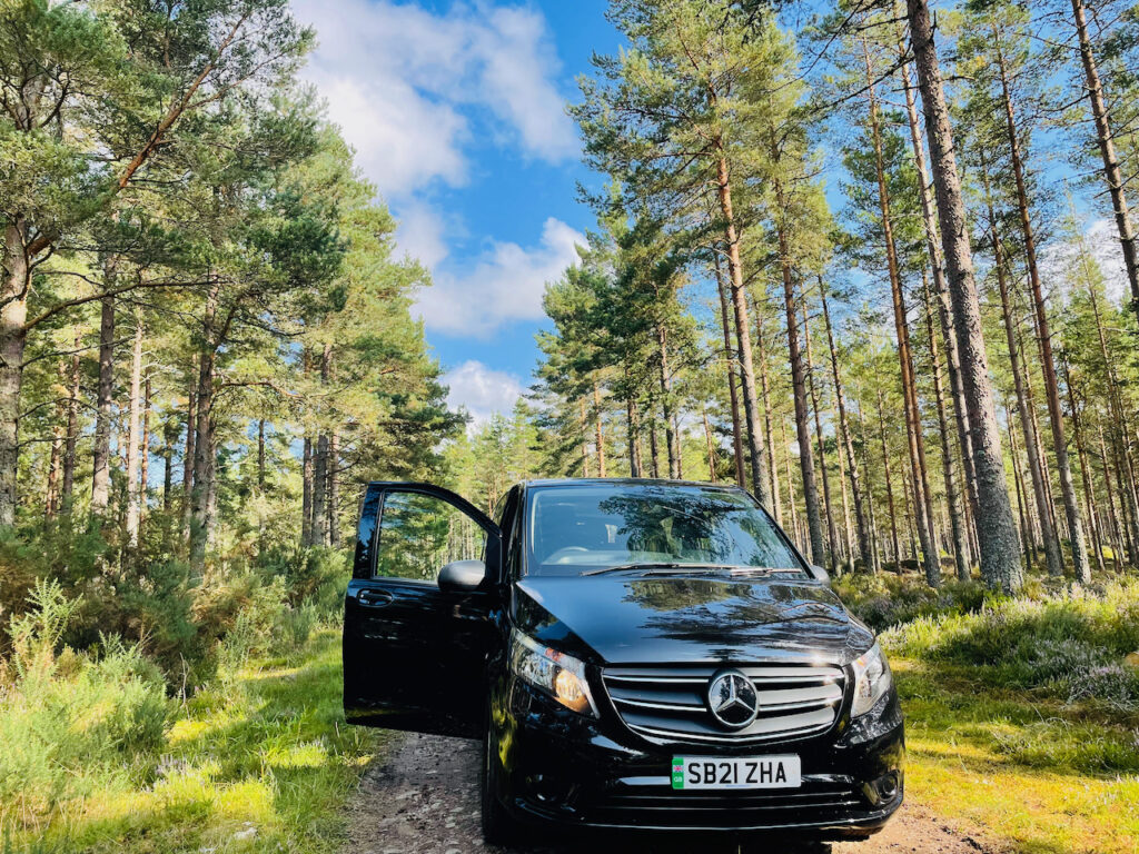 Mercedes e Vito L3