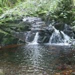 Nature & Whisky Tour