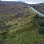 eVito in the Garingorms Durch Scottland mit einem elektrischen Auto- Starfish Travel - Individuelle Reisen